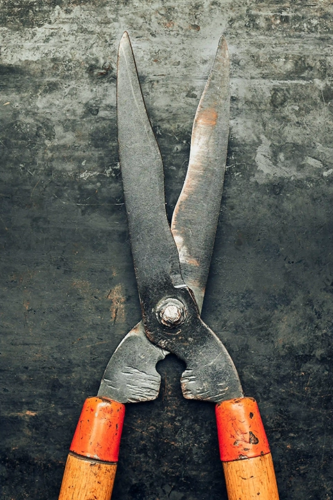 clippers-on-metal-surface-gardener-shears-for-mai-2026-01-08-07-28-43-utc-2