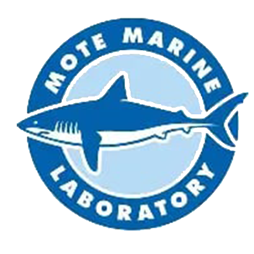Mote Marine